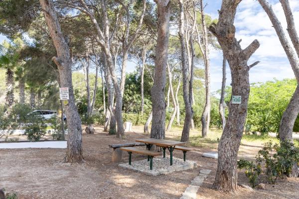 Terreno en camino la Racona