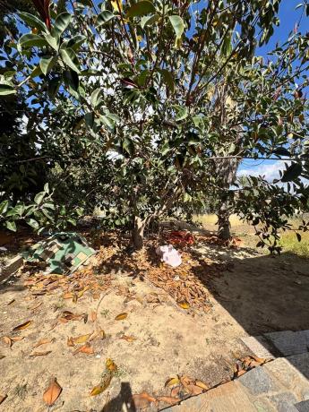 Terreno en calle Ucrania, 34