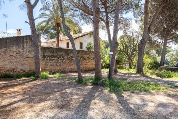 Terreno en camino la Racona