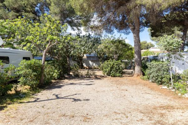 Terreno en camino la Racona