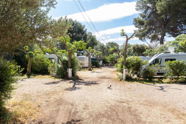 Terreno en camino la Racona