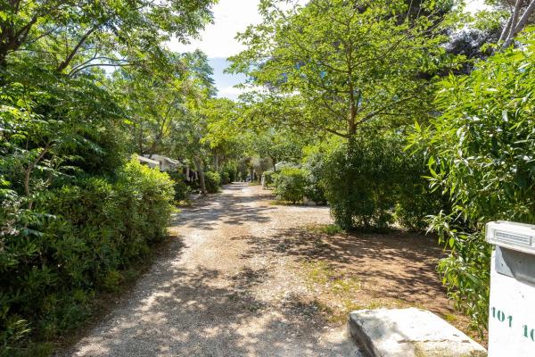 Terreno en camino la Racona