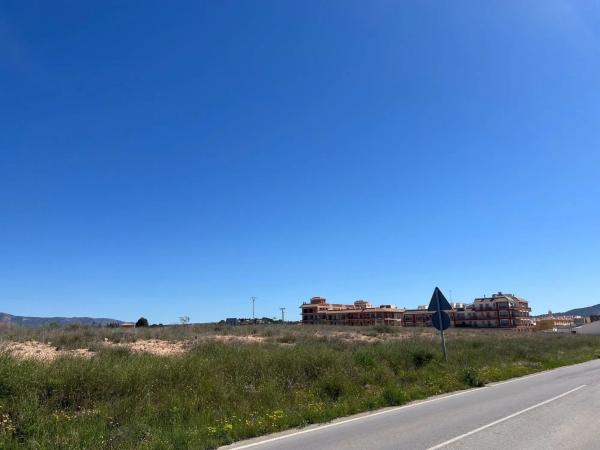 Terreno en carretera Jumilla, 91