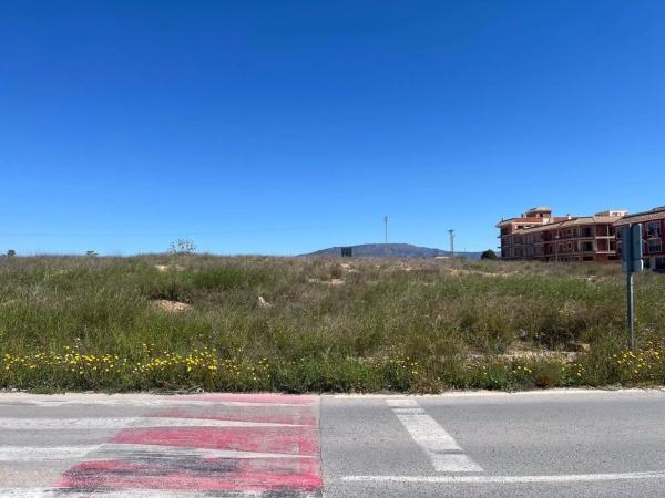 Terreno en carretera Jumilla, 91