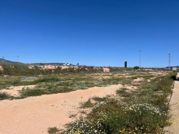Terreno en carretera Jumilla, 91