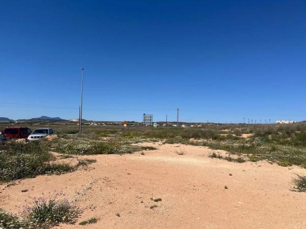 Terreno en carretera Jumilla, 91