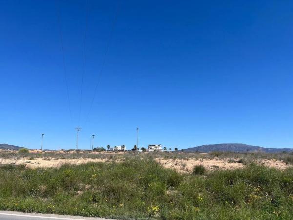 Terreno en carretera Jumilla, 91