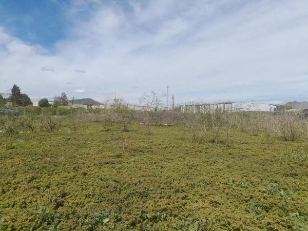 Terreno en Poligono 1 Parcela 136 s/n