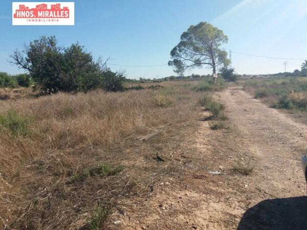 Terreno en Algoda-Matola-Llano de San José