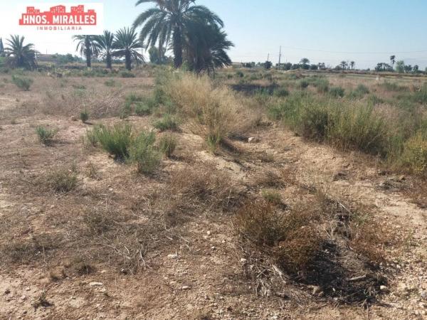 Terreno en Algoda-Matola-Llano de San José