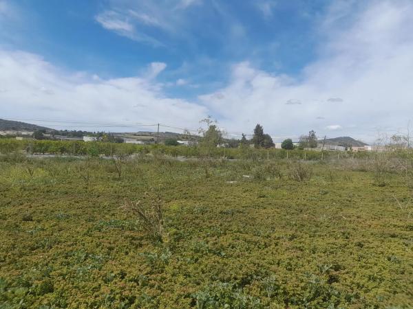 Terreno en Poligono 1 Parcela 136 s/n