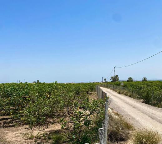 Terreno en la dehesa, 1