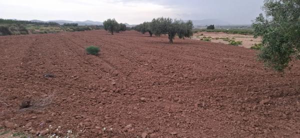 Terreno en rústico s/n