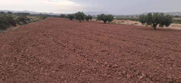 Terreno en rústico s/n