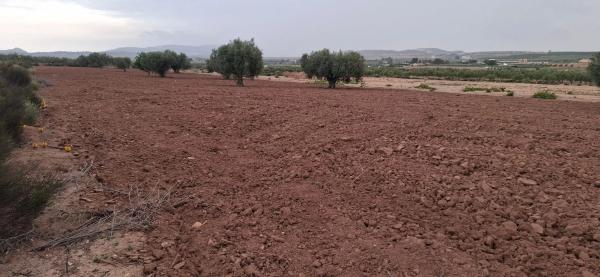 Terreno en rústico s/n