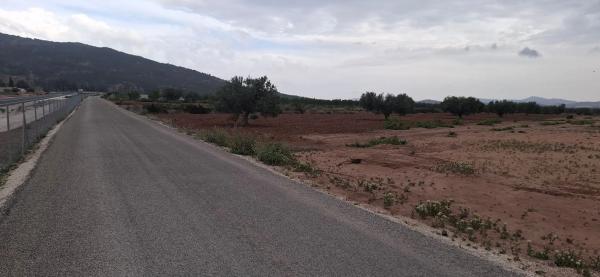 Terreno en rústico s/n