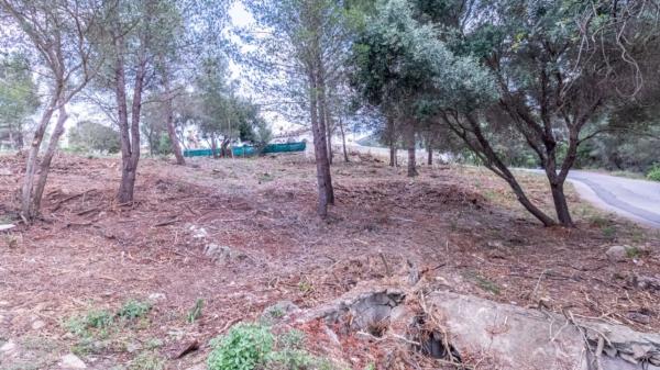 Terreno en El Montgó