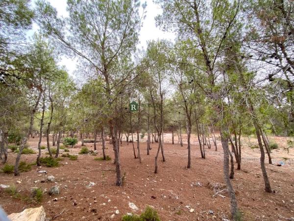 Terreno en Pedanías Este