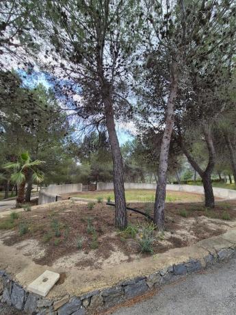 Terreno en calle Matet