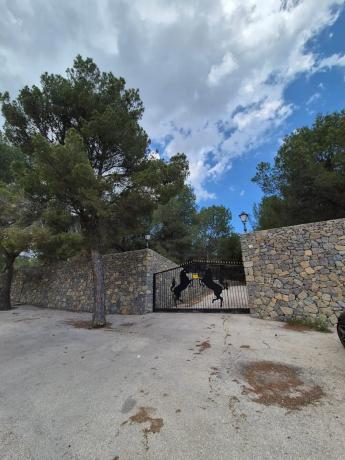 Terreno en calle Matet