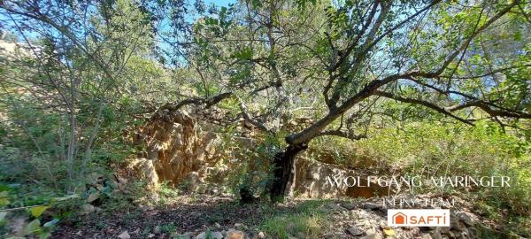 Terreno en camino Corral de Calafat s/n