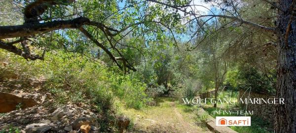 Terreno en camino Corral de Calafat s/n