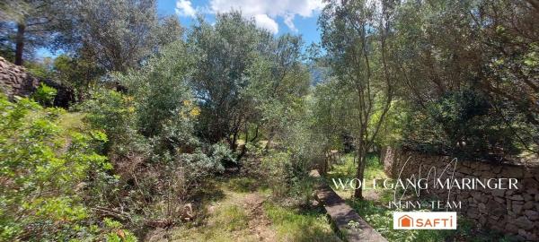 Terreno en camino Corral de Calafat s/n