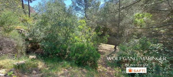 Terreno en camino Corral de Calafat s/n