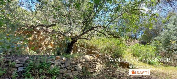 Terreno en camino Corral de Calafat s/n