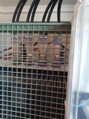 Terreno en Diseminado Pinoso, 218