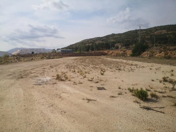 Terreno en Diseminado Pinoso, 218