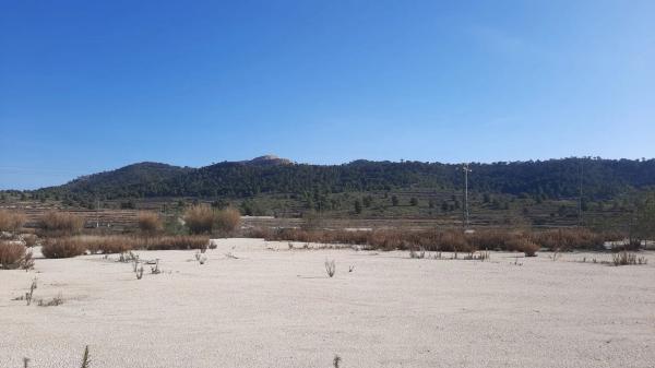 Terreno en Diseminado Pinoso, 218