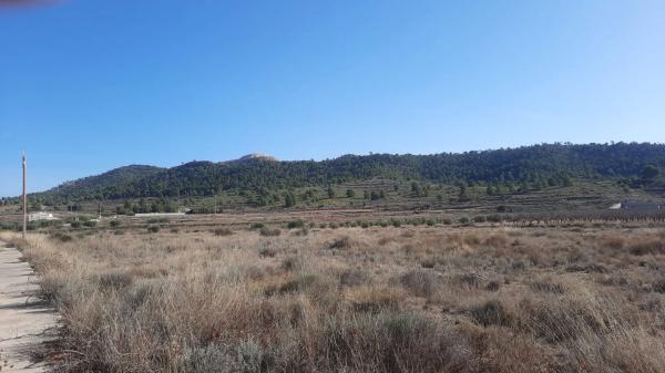 Terreno en Diseminado Pinoso, 218