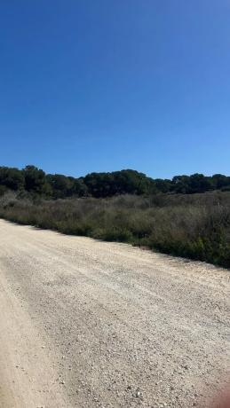 Terreno en calle Juan Gosálbez López