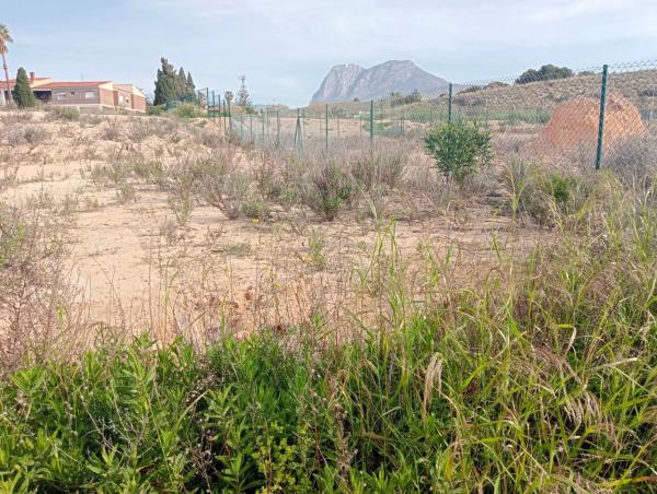 Terreno en Platja de Torres