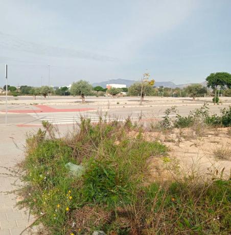 Terreno en Platja de Torres