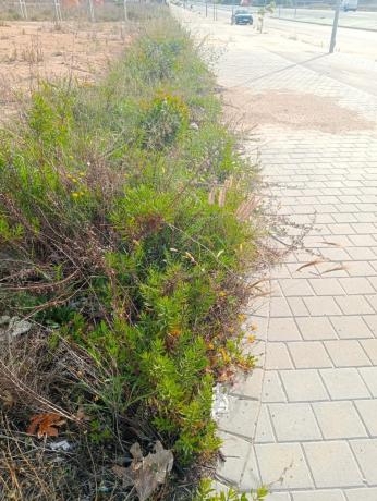 Terreno en Platja de Torres