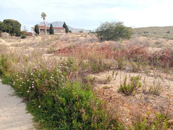 Terreno en Platja de Torres