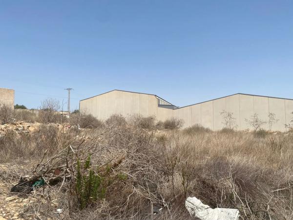 Terreno en camino del Punta, 8