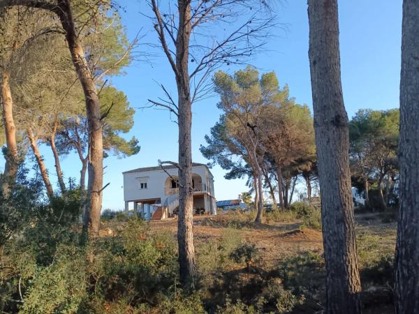 Terreno en Pinar de Advocat-Cometa