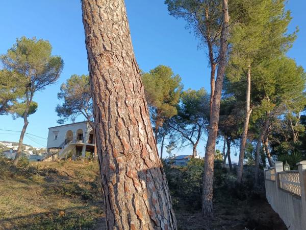 Terreno en Pinar de Advocat-Cometa