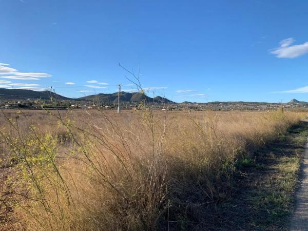 Terreno en Hondón de los Frailes