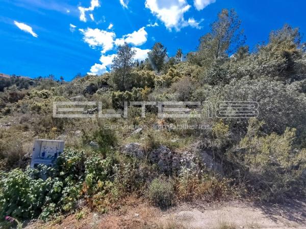 Terreno en calle Maia