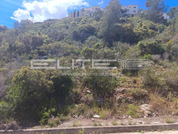 Terreno en calle Maia