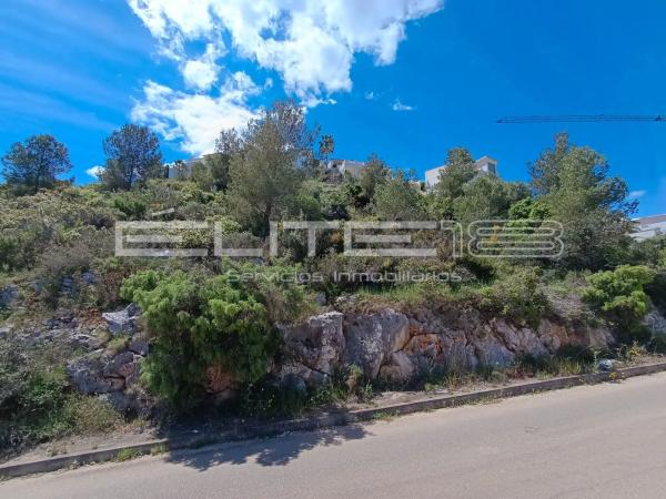 Terreno en calle Maia