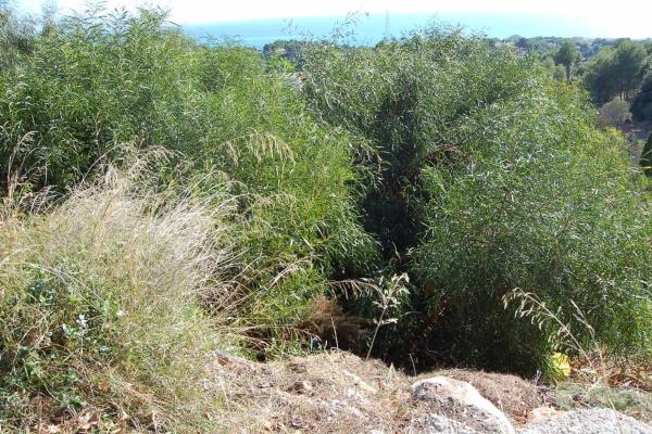 Terreno en Altea la Vella
