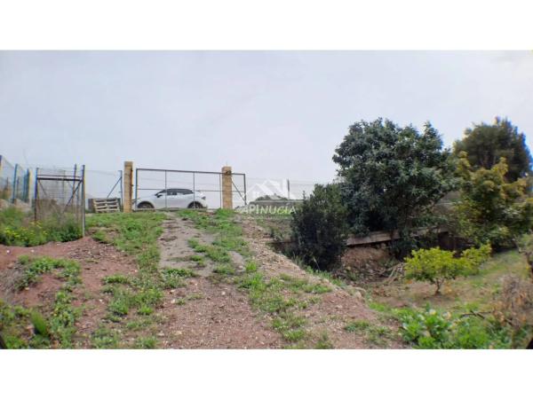 Terreno en camino del Pontet, 8