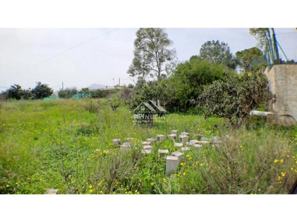 Terreno en camino del Pontet, 8