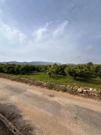 Terreno en Partida Trapig, km 2