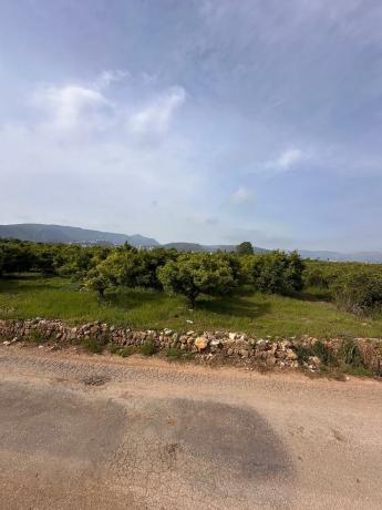 Terreno en Partida Trapig, km 2